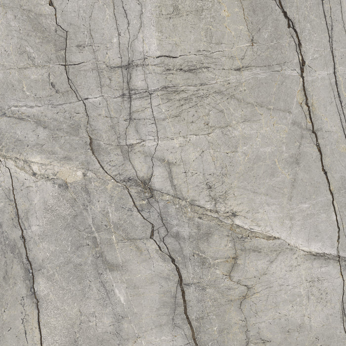 MARAZZI GRANDE STONE LOOK SILVER ROOT NATURALE RETTIFICATO MP46 120X120