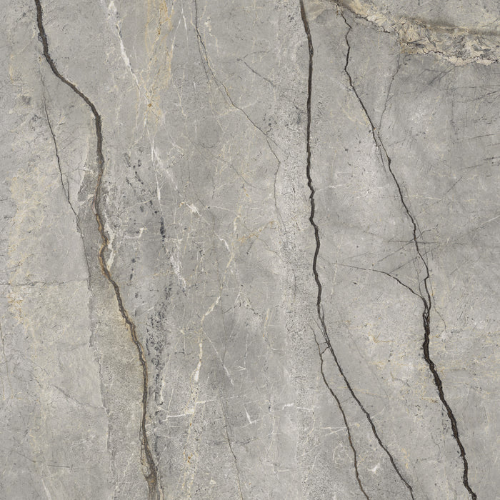 MARAZZI GRANDE STONE LOOK SILVER ROOT NATURALE RETTIFICATO MP46 120X120
