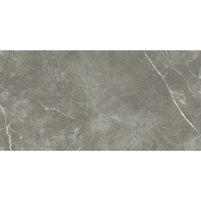 Claramant Dunkelgrau Feinsteinzeug glasiert, glänzend  rektifiziert 30x60x1 Default Title