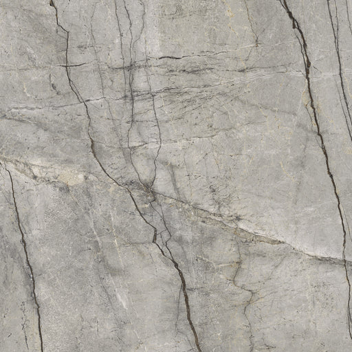MARAZZI GRANDE STONE LOOK SILVER ROOT NATURALE RETTIFICATO MP46 120X120