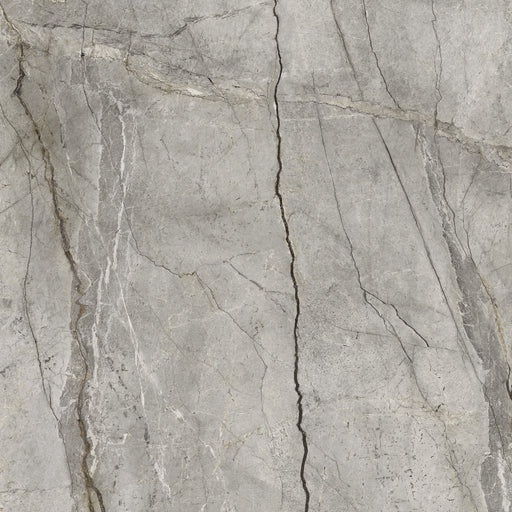 MARAZZI GRANDE STONE LOOK SILVER ROOT NATURALE RETTIFICATO MP46 120X120