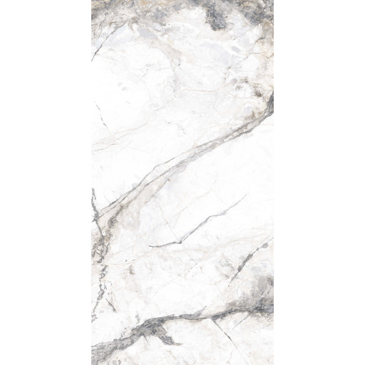 Prem. Marble Vasala Weiss Feinsteinzeug glasiert, glänzend  rektifiziert 60x120x0,9 Default Title