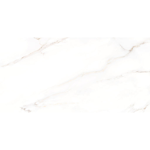 Premium Marble Turin  Feinsteinzeug glasiert, glänzend  rektifiziert 58x118x1 Default Title