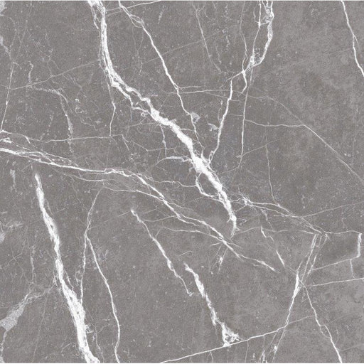 Premium Marble Stuzario Grau Feinsteinzeug glasiert, glänzend  rektifiziert 60x60x0,9 Default Title