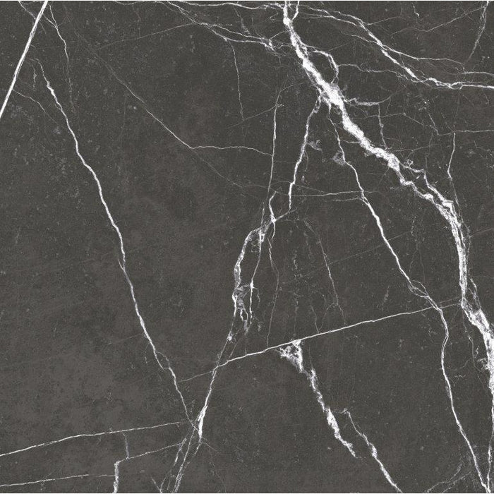 Premium Marble Stuzario Dunkelgrau Feinsteinzeug glasiert, glänzend  rektifiziert 60x60x0,9 Default Title