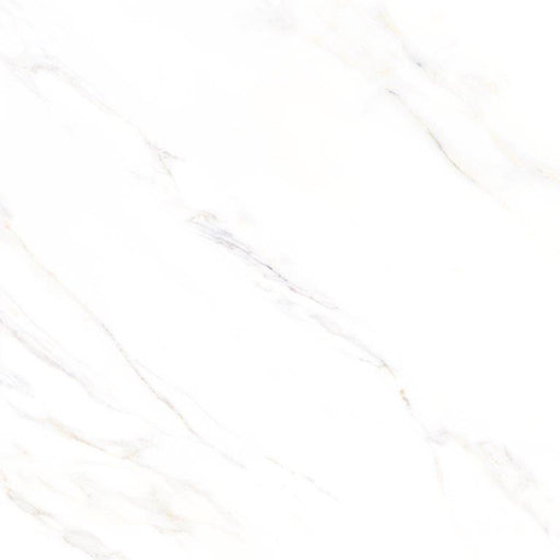 Premium Marble Turin  Feinsteinzeug glasiert, glänzend  rektifiziert 58x58x1 Default Title